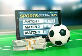 Discover Betwinner Your Ultimate Guide to Online Betting