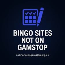 Discover New Bingo Sites Not on Your Radar -728283277