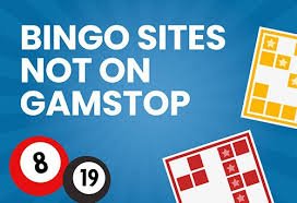 Understanding What Bingo Sites Are Not -732438121